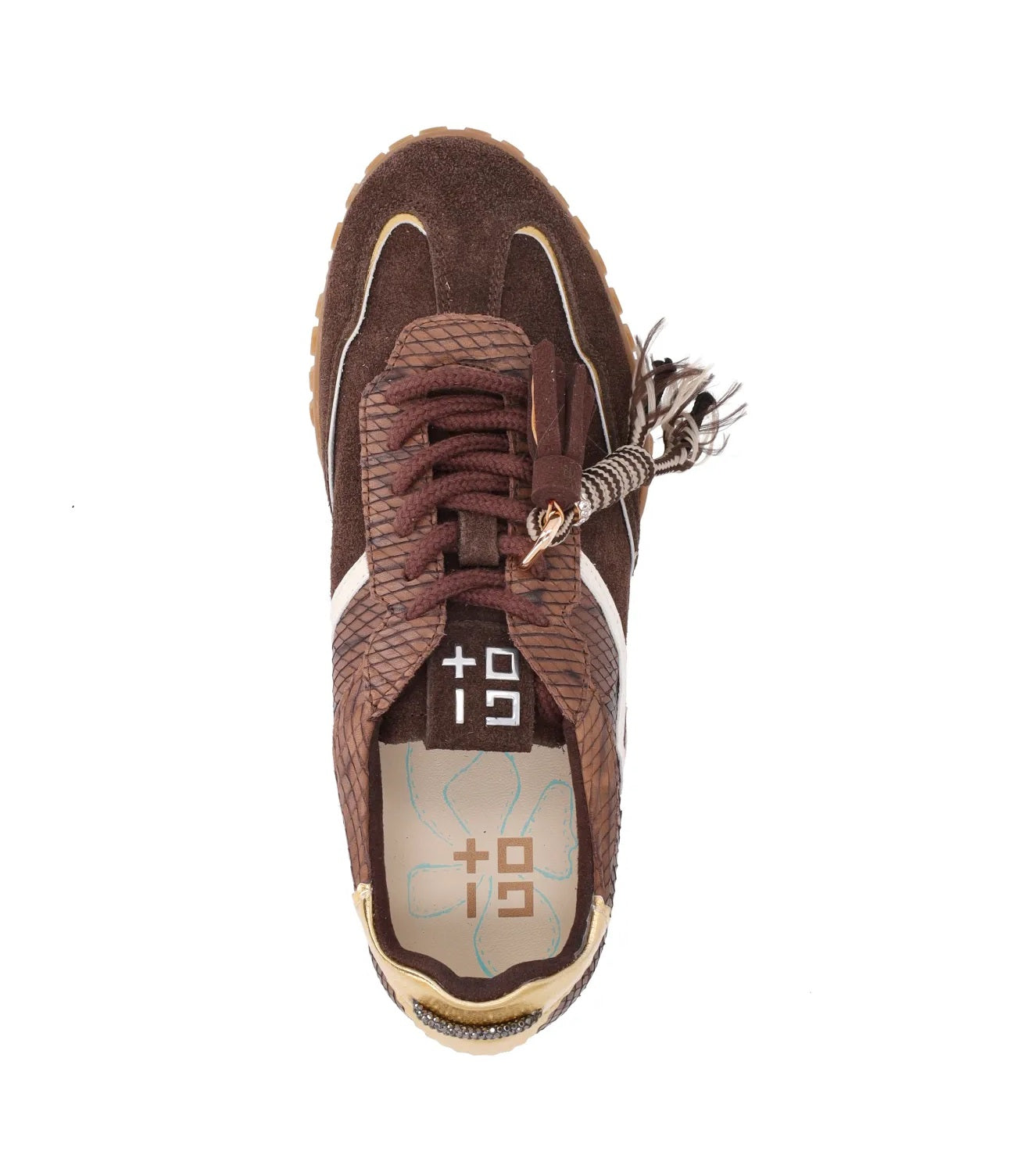 GIO+ sneakers gio+ cielo 42 combi brown coccodrillo CIELO42 COMBI BROWN 