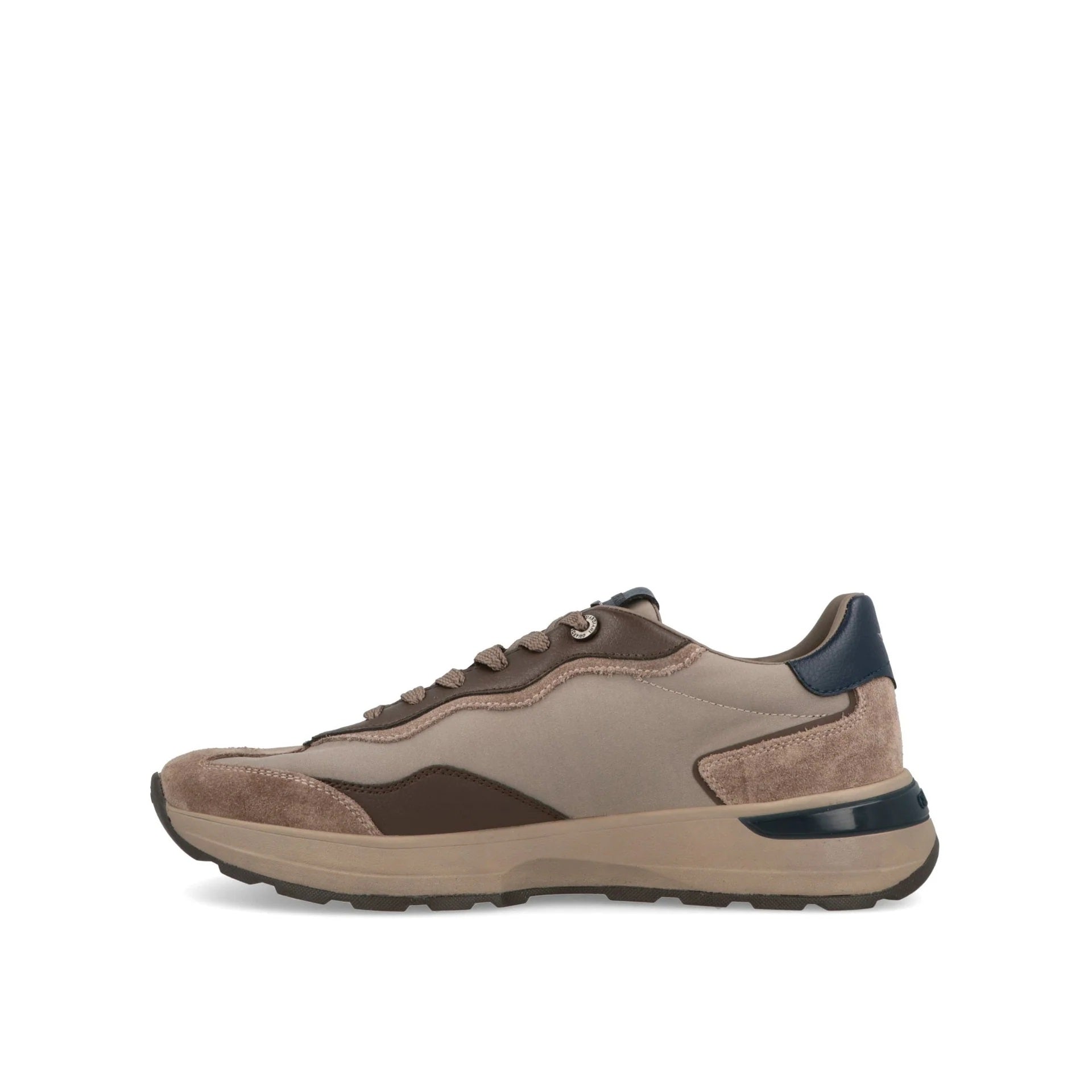 GUARDIANI sneakers guardiani gm62004 levante swallow GM62004A 029 LEVANTE SWALLOW 