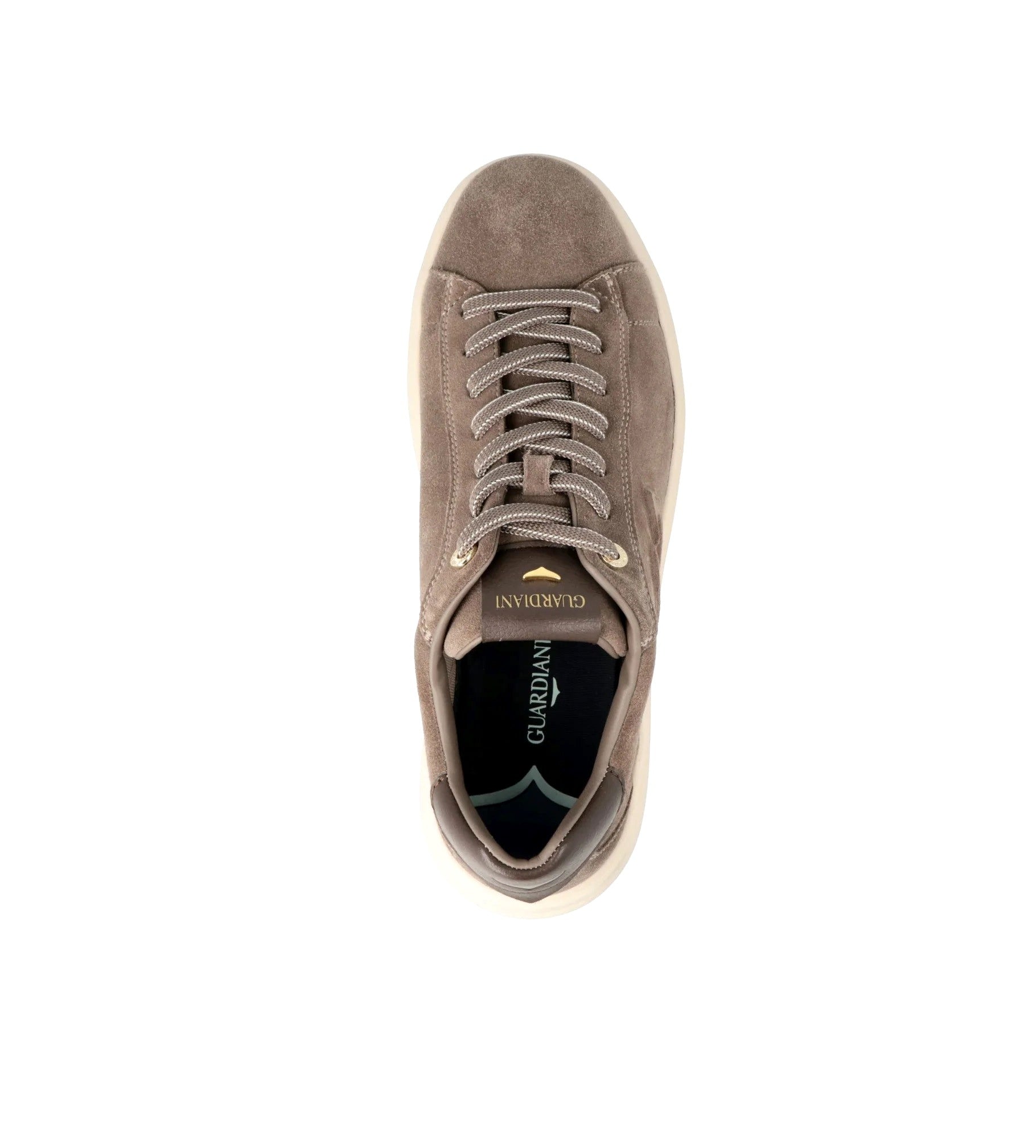 GUARDIANI sneakers guardiani aeris top suede gm62015 GM62015A 029 AERIS TOP SUEDE 